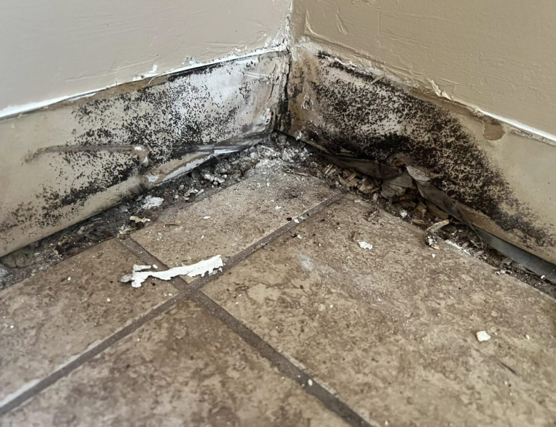 Water Damage, Fire Damage & Mold Remediation in Buckeye AZ - Accupro ...