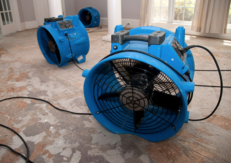 Blue industrial floor fans used for ventilation on a concrete floor.